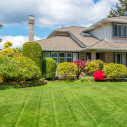 Varchetta Landscaping