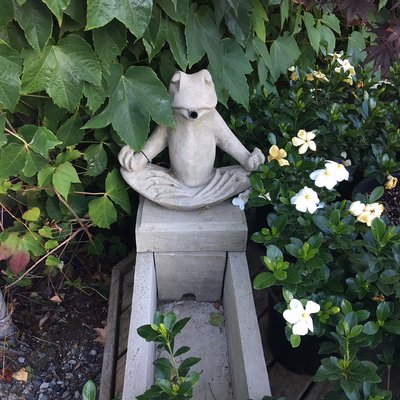 Magnolia Garden Center