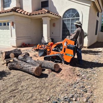 Cutter Tree Service - Stump grinding - Tree Services Near Me - Tucson, Arizona Cutter Tree Service - Stump grinding - Tree Services Near Me - Tucson, Arizona