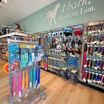 All The Best Pet Care - All-The-Best-Pet-Care-Lake_City-Dog-Cat-Pet-dog-muzzle-step-in-harness-1000.jpg - Pet Stores Near Me - Seattle, Washington All The Best Pet Care - All-The-Best-Pet-Care-Lake_City-Dog-Cat-Pet-dog-muzzle-step-in-harness-1000.jpg - Pet Stores Near Me - Seattle, Washington
