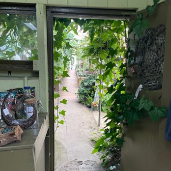 Peckham's Greenhouse - Nurseries & Gardening Near Me - Little Compton, Rhode Island Peckham's Greenhouse - Nurseries & Gardening Near Me - Little Compton, Rhode Island