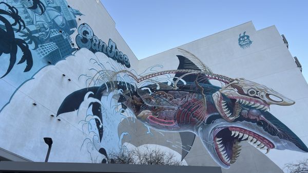 Whole Foods Market by null