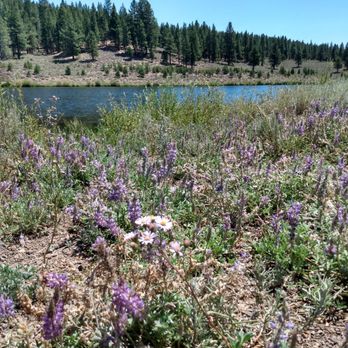 Martins Creek Lake - Campgrounds Near Me - Truckee, California Martins Creek Lake - Campgrounds Near Me - Truckee, California