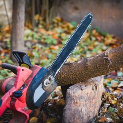 Almanza's Tree Service and Landscaping