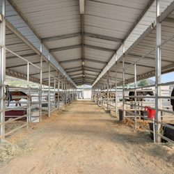 Deer Springs Equestrian - Deer Springs Equestrian - Our Happy Horses