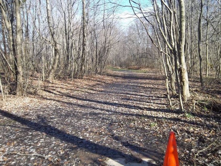 RED LAND HIGH SCHOOL DISC GOLF COURSE Updated September 2024 560 Fishing Creek Rd