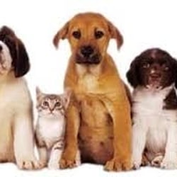 North Straits Animal Clinic