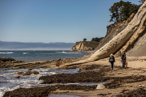 Bowling Ball Beach Trailhead by null