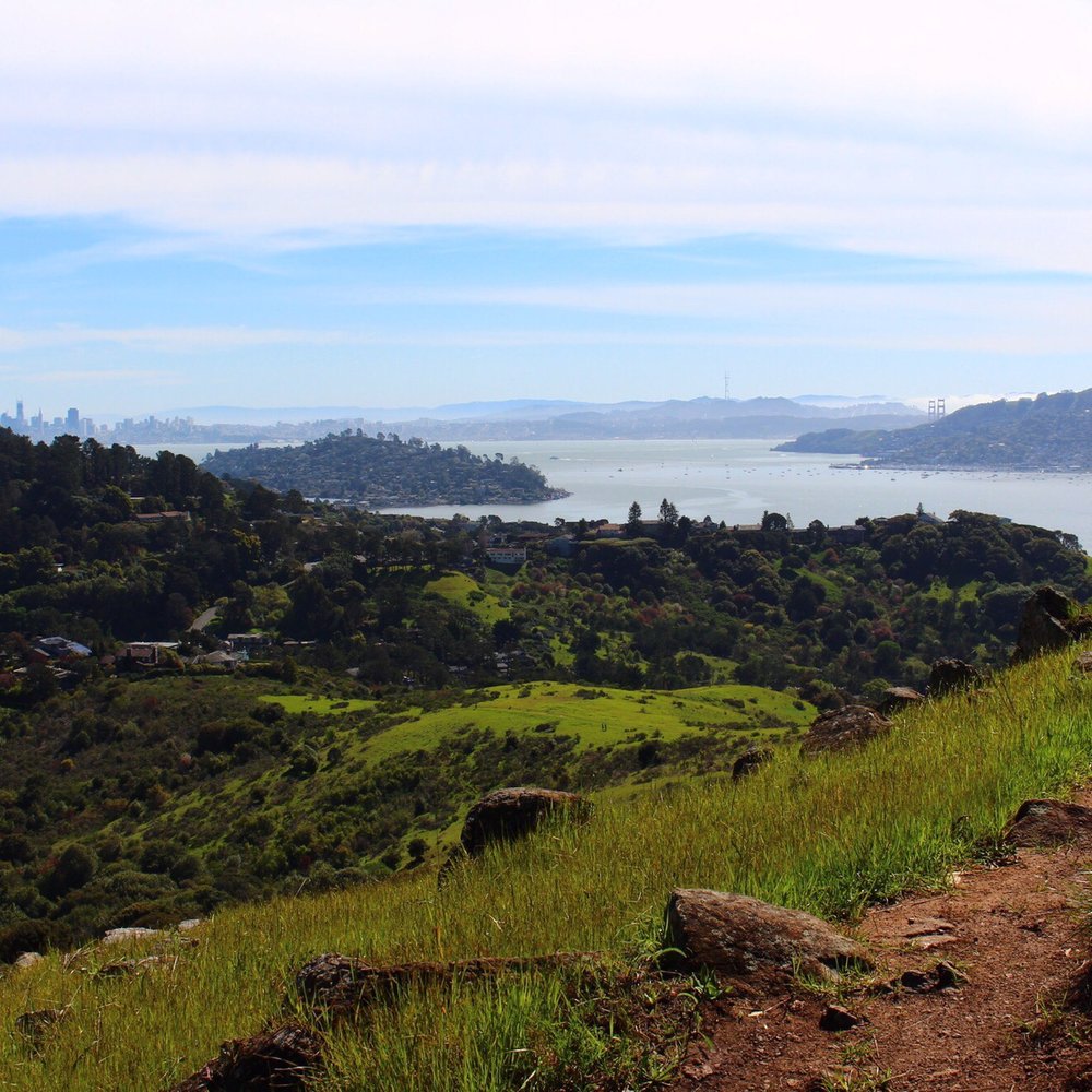 Ring Mountain Preserve - Parks Near Me - Corte Madera, California Ring Mountain Preserve - Parks Near Me - Corte Madera, California