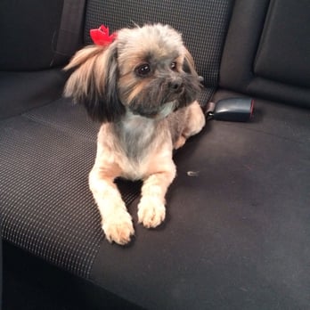 Pooch Pawlor Spa - Nesta - Pet Groomers Near Me - Glendale, California Pooch Pawlor Spa - Nesta - Pet Groomers Near Me - Glendale, California