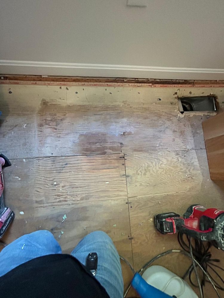 FDP Mold Remediation of Reston - mold inspector in Reston, VA