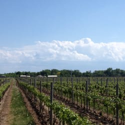 Erie Shore Vineyard
