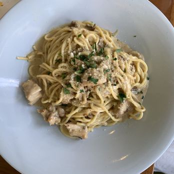 Rigo - Chicken & porcini alfredo $19.50 - Spanish Near Me - Honolulu, Hawaii Rigo - Chicken & porcini alfredo $19.50 - Spanish Near Me - Honolulu, Hawaii