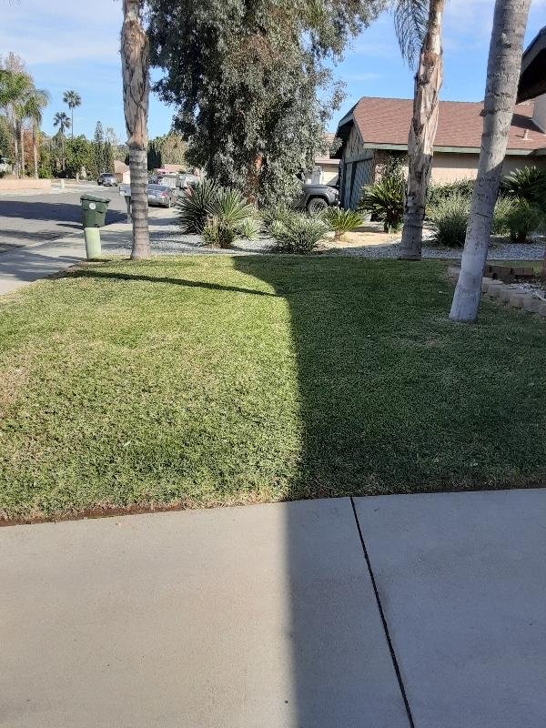 CHAMPIONS LAWN MAINTENANCE Request a Quote 12 Photos Riverside