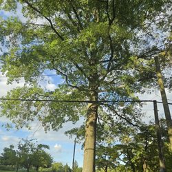 Meadowland Park