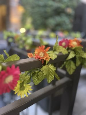 SOHO Garden HTX by null
