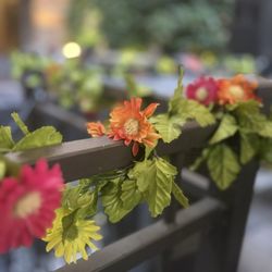 Soho Garden