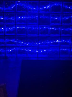 The Hook and Ladder Theater & Lounge by null