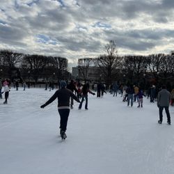 The Sculpture Garden Ice Rink