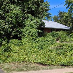 Front yard before.