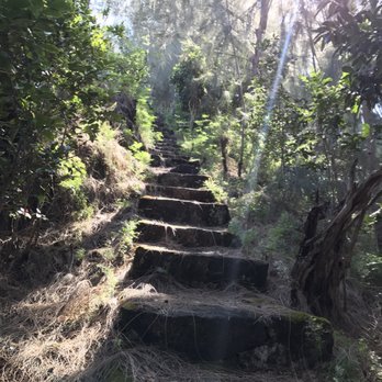 Kamanaiki Ridge Trail - Beautiful stone steps up - Climbing Near Me - Honolulu, Hawaii Kamanaiki Ridge Trail - Beautiful stone steps up - Climbing Near Me - Honolulu, Hawaii