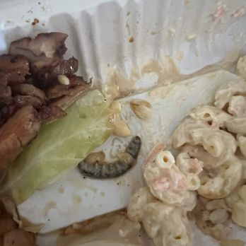Ono Hawaiian BBQ - Literally found a worm in my food!!!! - Hawaiian Near Me - Van Nuys, California Ono Hawaiian BBQ - Literally found a worm in my food!!!! - Hawaiian Near Me - Van Nuys, California