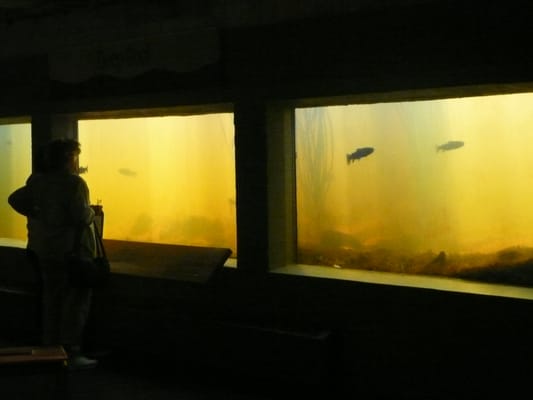 The Fluvarium by null