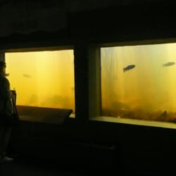 The Fluvarium