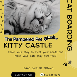 The Pampered Pet - Now offering Cat Boarding! Give us a call to book your cats stay today.