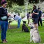 Photo of Los Angeles Responsible Pit Bull Owners - Long Beach