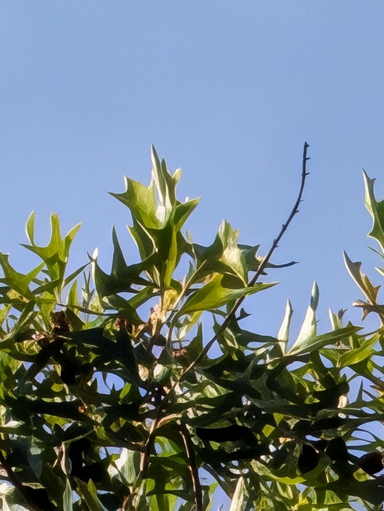 Social spots from Cherokee Park