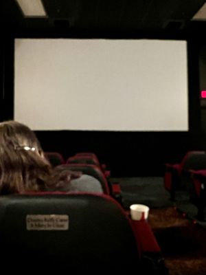 The Grand Cinema by null