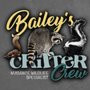 Bailey's Critter Removal
