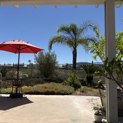Willow Street Property Management