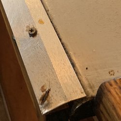 Makoto Japanese Steak House - ROACHES
