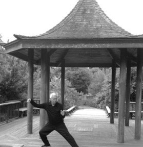 Integral Way Tai Chi Logo