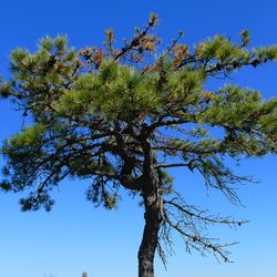 High Point Monuments of Sussex County - Https://youtu.be/Zg_uAAW3OYo