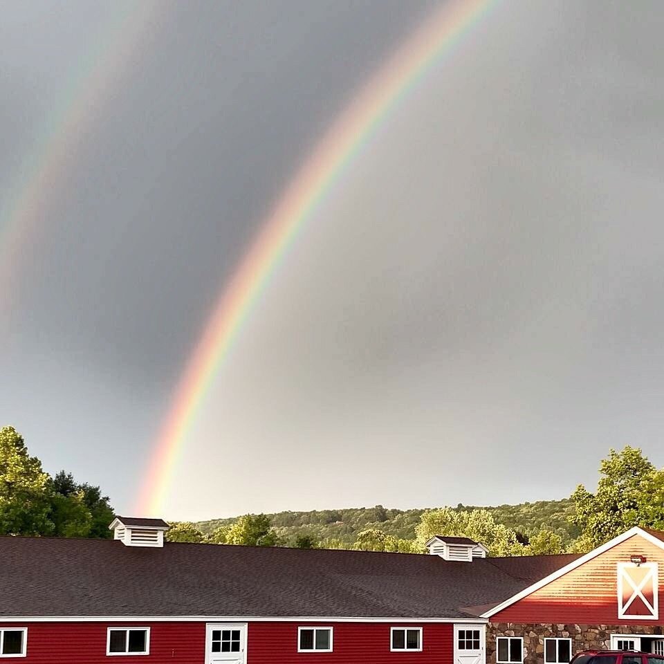 Wild Wind Stables - equestrian in Northford, CT