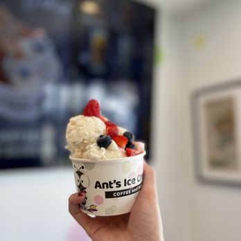Ant's Ice Cream - IG: happyfoodieoc - Ice Cream & Frozen Yogurt Near Me - Garden Grove, California