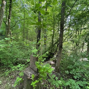 Hector H Henry II Greenway - Hiking Near Me - Concord, North Carolina