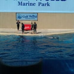 Gulf World