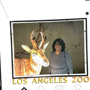 LA Zoo Lights - Zoos Near Me - Los Angeles, California LA Zoo Lights - Zoos Near Me - Los Angeles, California