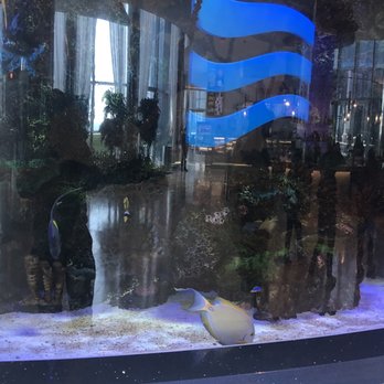 Ocean Casino Resort - Resorts Near Me - Atlantic City, New Jersey Ocean Casino Resort - Resorts Near Me - Atlantic City, New Jersey