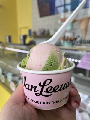 Van Leeuwen Ice Cream by null