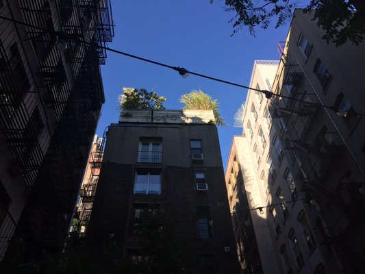 Saturdays NYC Crosby St by null