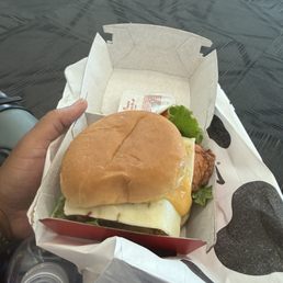 Spicy Deluxe Sandwich