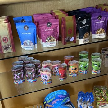 The Chocolate Frog - Gift Shops Near Me - Lincoln City, Oregon The Chocolate Frog - Gift Shops Near Me - Lincoln City, Oregon