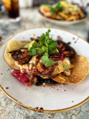 Salt & Stone by null