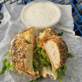 Bagel Boys - Everything bagel+honey mustard+turkey+cheddar+tomato/lettuce - Bagels Near Me - Newport, Rhode Island Bagel Boys - Everything bagel+honey mustard+turkey+cheddar+tomato/lettuce - Bagels Near Me - Newport, Rhode Island