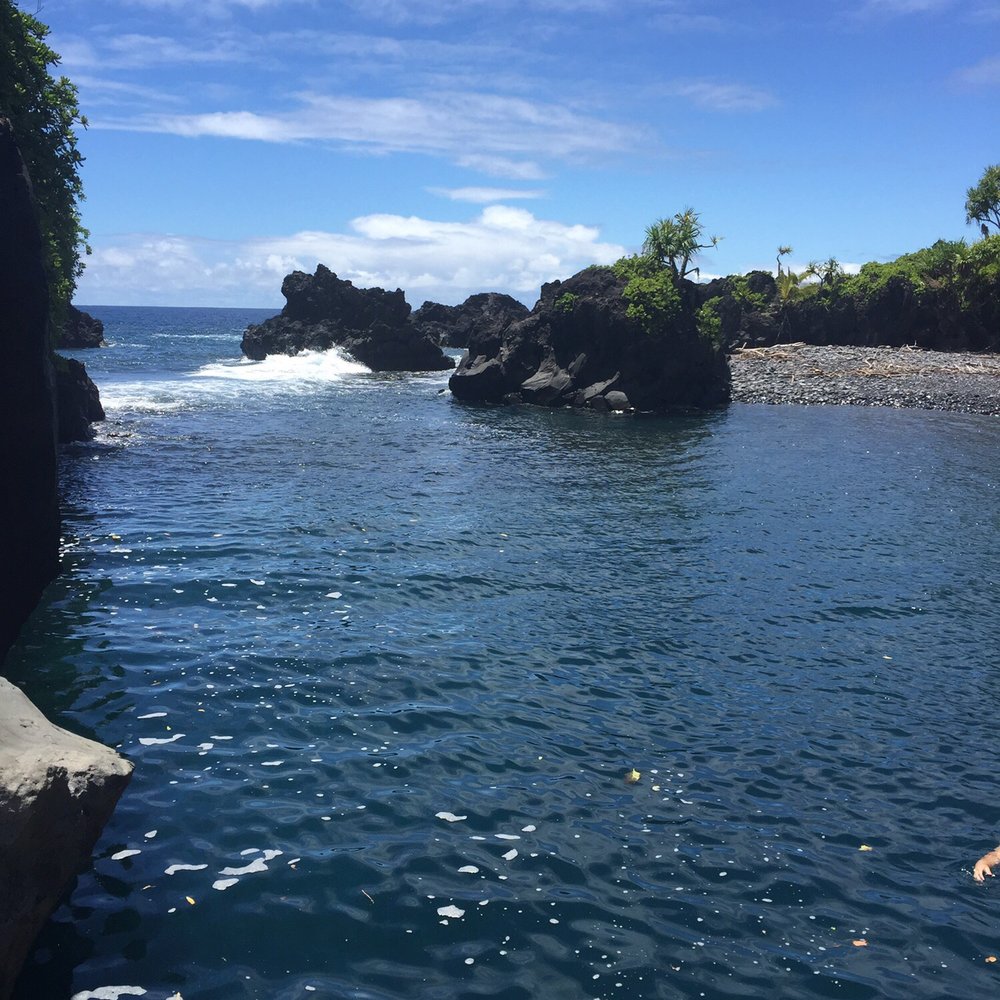 Sandy Cheeks Tours - Tours Near Me Sandy Cheeks Tours - Tours Near Me